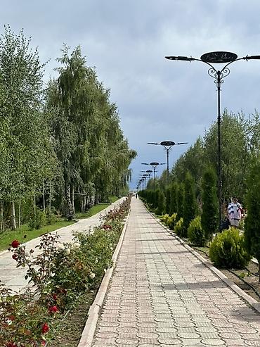 Бөлмөлөр: Просторный номер/апартамент с панорамным остеклением в малоквартирном — 9