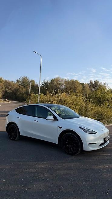 byd song max: Tesla Model Y: 2022 г., Электромобиль, Кроссовер — 1