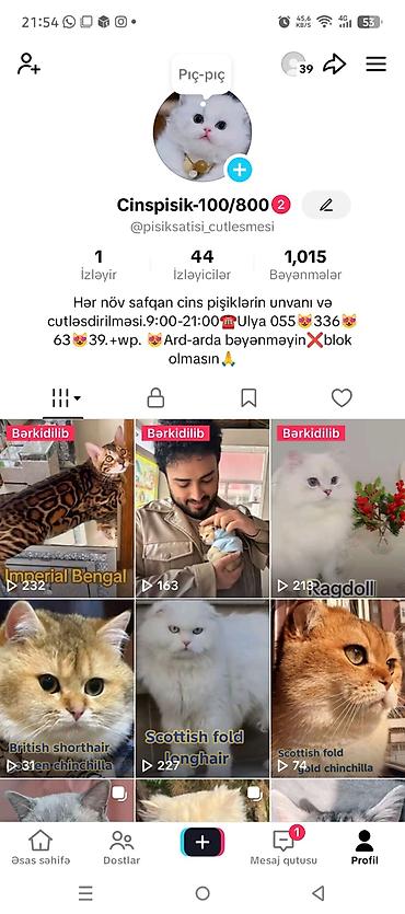 qusar heyvan satışı: Erkək, Cütləşmə üçün, Ödənişli çatdırılma, Ünvandan götürmə — 3