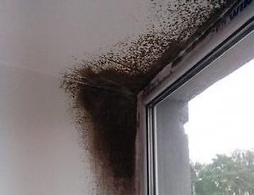 Воздухоочистители: Воздухоочиститель Breeze Настенный, Более 50 м², Фильтр предварительной очистки — 3