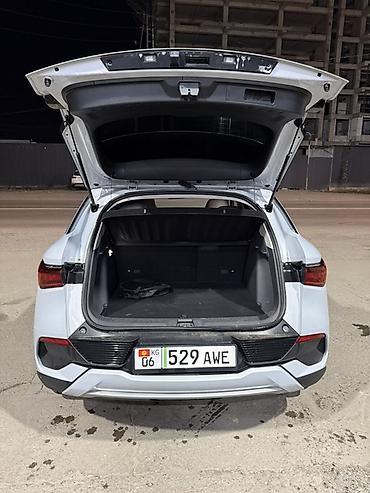 srv 3: BYD Yuan Plus: 2023 г., Автомат, Электромобиль, Кроссовер — 9