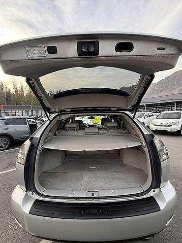 Lexus: Lexus RX: 2004 г., 3.3 л, Автомат, Бензин, Кроссовер — 12