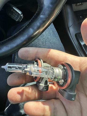 55w: Лампы автомобильные галогенные OSRAM H11, комплект 2 шт — 2