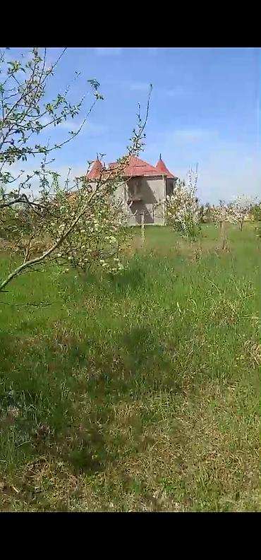 astara ev kiraye: 8 sot, Tikinti, Mülkiyyətçi, Kupça (Çıxarış) — 1