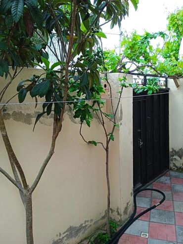 Həyət evləri və villaların satışı: 4 otaqlı, 110 kv. m, Kredit yoxdur, Yeni təmirli — 11