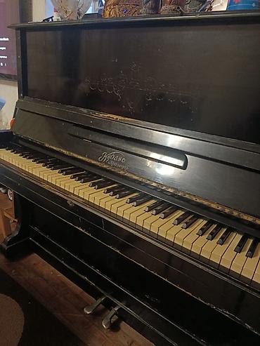 мини пианино: Krasnodar piano — 1