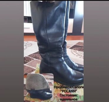 Сапоги: Сапоги, 38, Polann, Б/у, цвет - Черный, Самовывоз