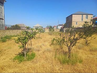 evle masin barter: 10 sot, Tikinti, Mülkiyyətçi, Kupça (Çıxarış) — 6