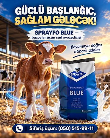 tısbağa yemi: SPRAYFO BLUE — buzovlar üçün süd əvəzedicisi - Kalit formul — 1