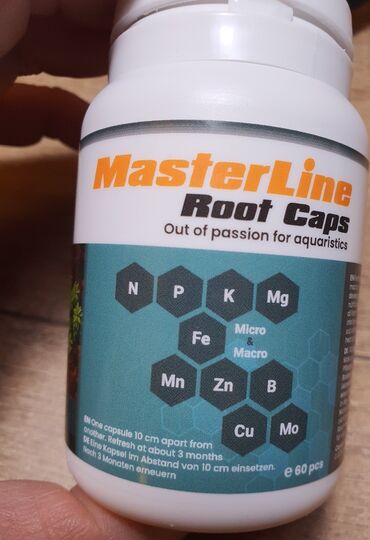 peyin qurdu: MasterLine Root Caps Akvarium bitkiləri üçün kök kapsulları, 60 ədəd