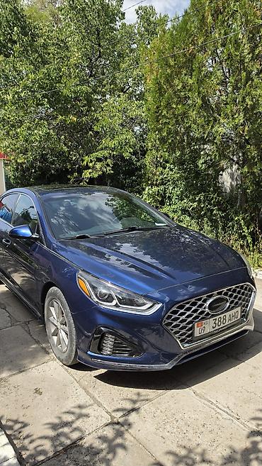 audi q: Hyundai Sonata: 2019 г., 2.4 л, Автомат, Бензин, Седан — 7