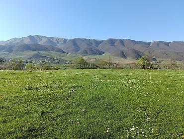 Torpaq sahələrinin satışı: Tikinti — 15