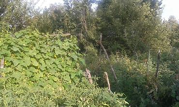 кызыл ата: Продаю ДОМ участок 36 соток и 18 соток, ширина 42 м. длина 78 м — 6