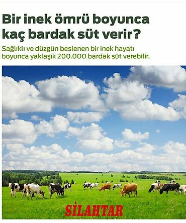 separator qiyməti: Qaymağ maşını 
Yeni 
Türkiyə istehsalı — 3