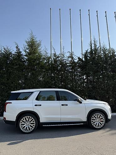 go park: Hyundai Palisade: 2020 г., Автомат, Дизель, Кроссовер — 2