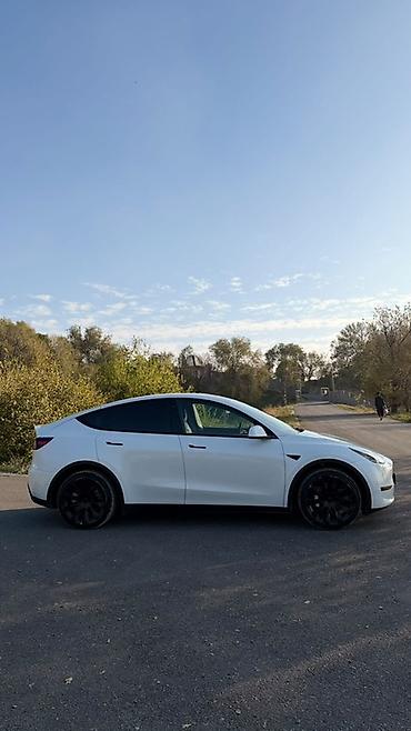byd song max: Tesla Model Y: 2022 г., Электромобиль, Кроссовер — 2