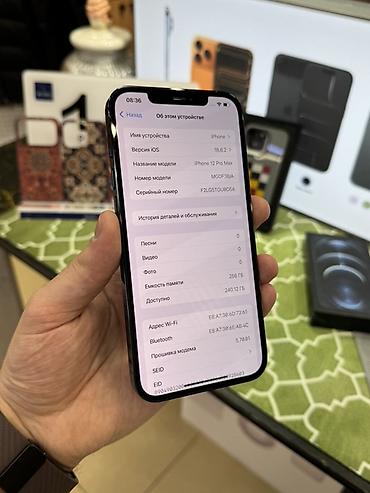 Apple iPhone: IPhone 12 Pro Max, 256 GB, Pacific Blue — 9