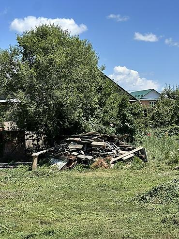 бараны арашан цена: Отун сатылат Каракол шаарында — 5