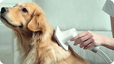 bit daragi harada satilir: Petkit Pet Grooming Vacuum Kit 5-in-1 (LM4)Petkit Pet Grooming Vacuum — 1