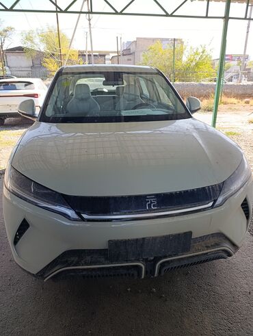 BYD: BYD : 2025 г., Робот, Электромобиль, Кроссовер