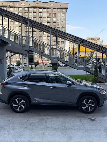 Lexus: Lexus NX: 2020 г., 2.5 л, Автомат, Гибрид, Кроссовер — 2