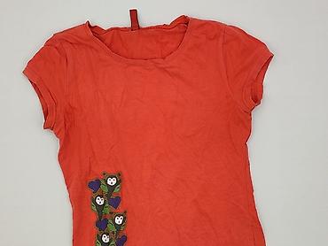 fsbn koszula: Bear, T-shirt damski, rozmiar XS — 1