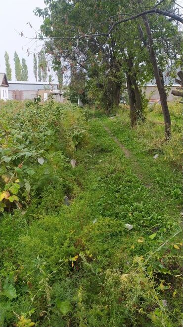 10 соток, Срочная продажа, Красная книга