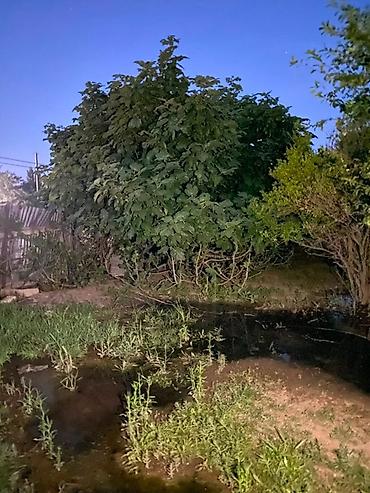 Həyət evləri və villalar: 🏡 Satılır – 16 sot həyət evi 📍 Ünvan: Köhnə Suraxanı ✅ Həyətdə — 4