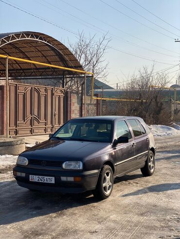 Volkswagen: Volkswagen Golf: 1993 г., 1.6 л, Механика, Бензин, Хэтчбэк