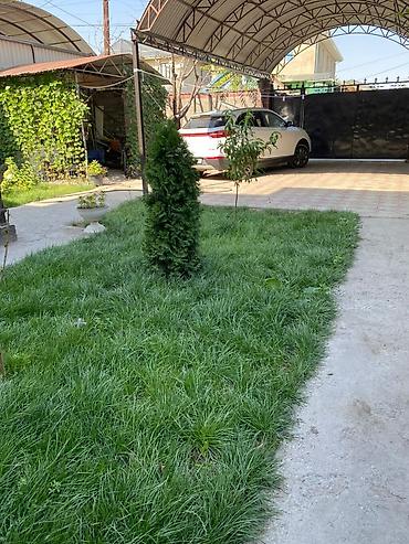 Долгосрочная аренда домов: 230 м², 6 комнат, Теплый пол, Бассейн, Амбарная — 12