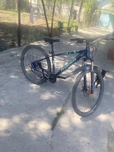 low2 fixie: Горный велосипед Phoenix - Рама: хардтейл, алюминиевая/стальная (по — 3