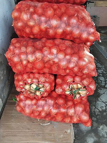 Лук: Лук Оптом, Бесплатная доставка — 1