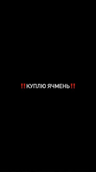 тепличная голубая плёнка: Семена: Ячмень