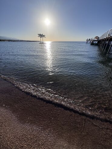 Иссык-Куль 2025: Коттедж, Palm beach ЦО Palm Beach, Чок-Тал, Парковка, стоянка, Охраняемая территория, Футбольное поле — 13