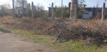 обувь для охоты: Отдам даром ветки и хворост
