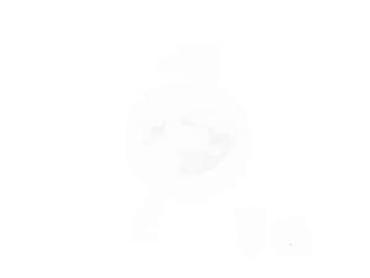 Ostali aksesoari za mobilne telefone: BAVIN CB215 magnetni bežični punjač - Kompatibilan sa MagSafe — 16