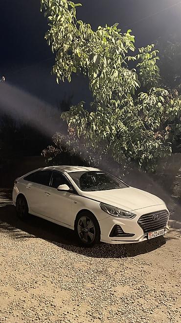 Шины и диски: Обмен 245/45/R19 диски с шиной Green max sport, вариант жибергиле — 1