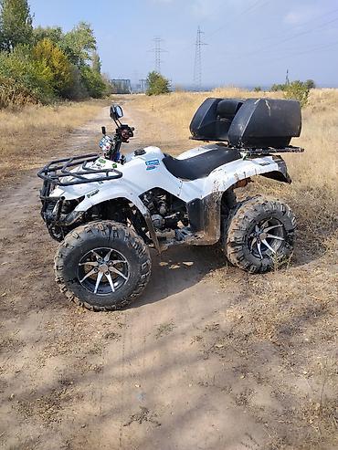 ямаха ф600: Квадроцикл Yamaha, Бензин, 250 куб. см, Взрослый — 6