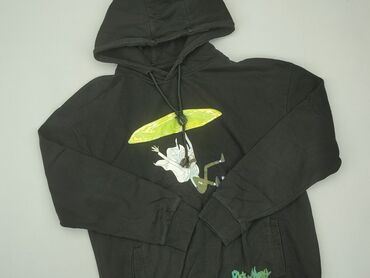 Sweatshirts: Hoodie for men, L (EU 40), SinSay, condition - Good