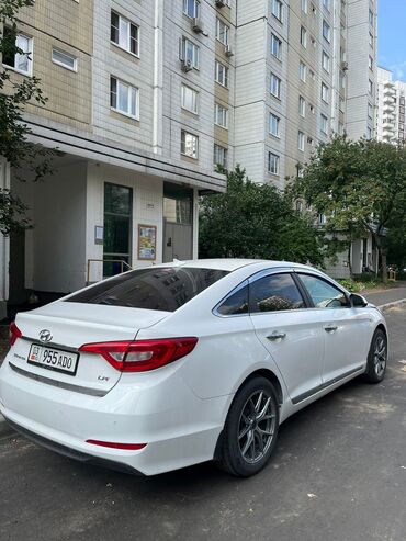 королла 2016: Hyundai Sonata: 2016 г., 2 л, Автомат, Газ, Седан