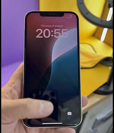 Apple iPhone: IPhone 12 Pro Max, Б/у, 256 ГБ, Белый, Зарядное устройство, 100 % — 9