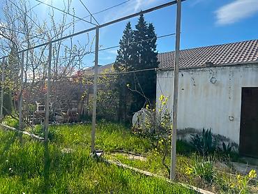 Torpaq sahələrinin satışı: 25 sot — 7