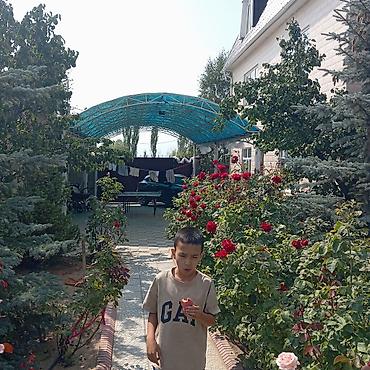 один хоз: Сдается Квартира В городе Шопоков Ул Дзержинского Гостиничного Типа — 2