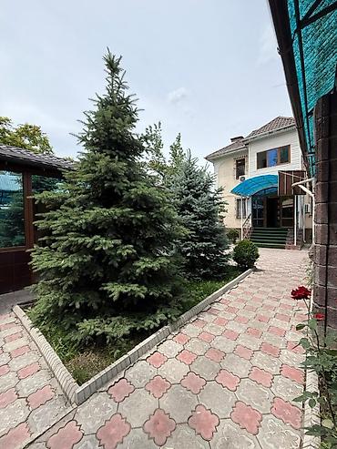 Долгосрочная аренда домов: 270 м², 6 комнат, Бронированные двери, Парковка, Теплый пол — 4