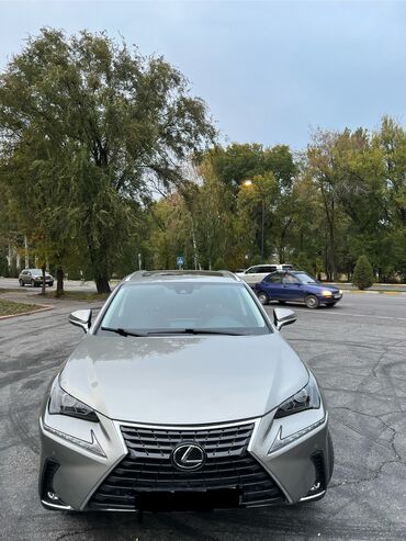 lexus es 300 2013: Lexus NX: 2020 г., 1.9 л, Вариатор, Бензин, Кроссовер