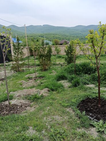 Bağ evlərinin satışı: Bakı, 100 kv. m, 3 otaqlı, Hovuzsuz, İşıq — 4