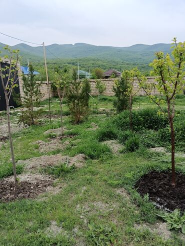 Bağ evlərinin kirayəsi: 100 kv. m, 3 otaqlı, Hovuzsuz, Artezian quyusu, Qaz, Kanalizasiya — 3