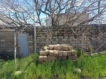 sebail: 1 sot, Tikinti, Kupça (Çıxarış) — 1