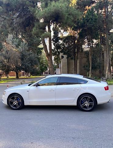 Audi: Audi A5: 2 l | 2013 il Hetçbek — 5