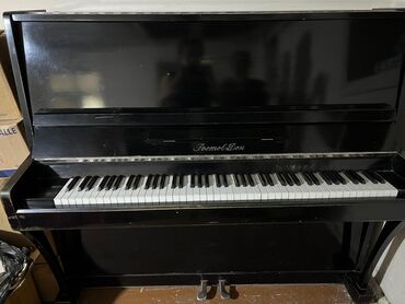 цифровой меридиан терапия инструмент: Piano, Akustik, İşlənmiş, Ünvandan götürmə, Ödənişli çatdırılma, Rayonlara çatdırılma